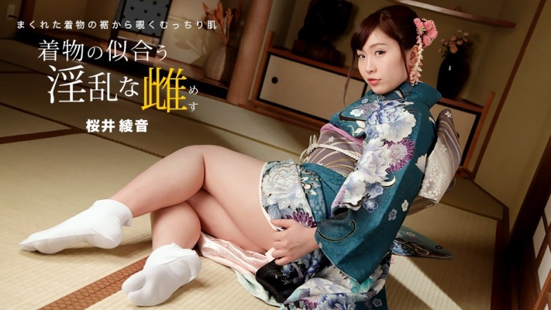 1Pondo-010822_001 - Nasty Female Who Looks Good In Kimono Ayane Sakurai